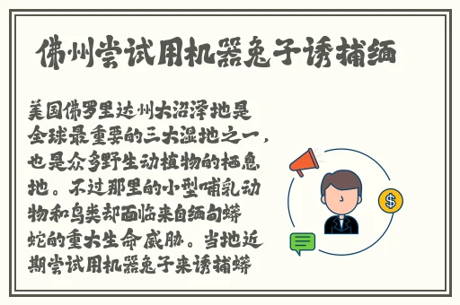 沈芯语老师家访麻花视频剧集